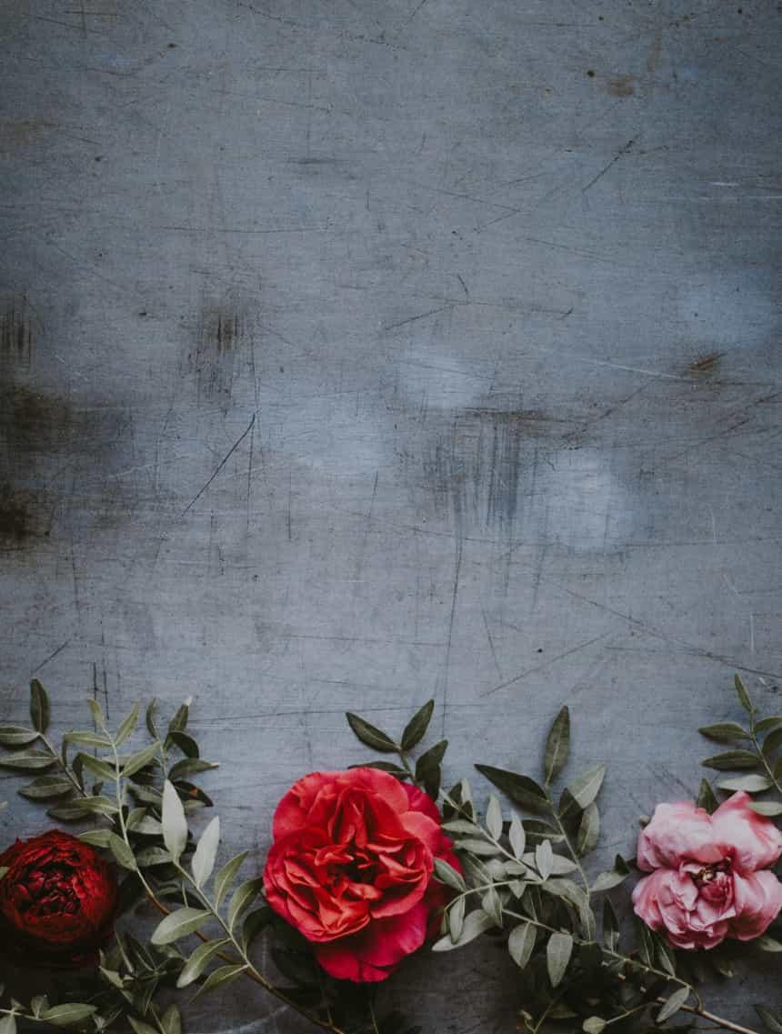 Ozadje za sekcijo pomoč pri delu